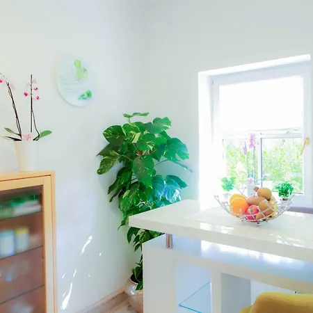 Apartment Maxglan Salzburg